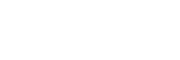 Cyber Data Services logo