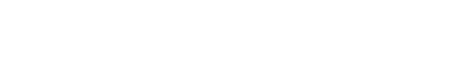 Cyber Data Services logo